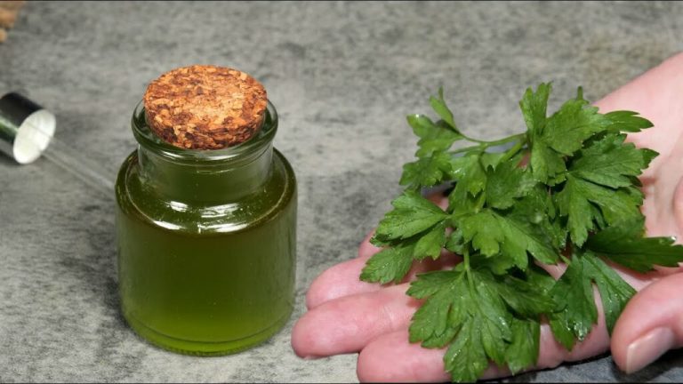 482301998 122180257250279931 1674230247903083957 N