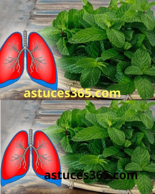 482302808 122180248496279931 7597101909005102510 N