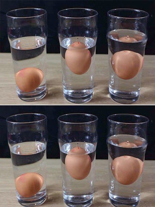 482808048 122180947220279931 7379037084973298251 N