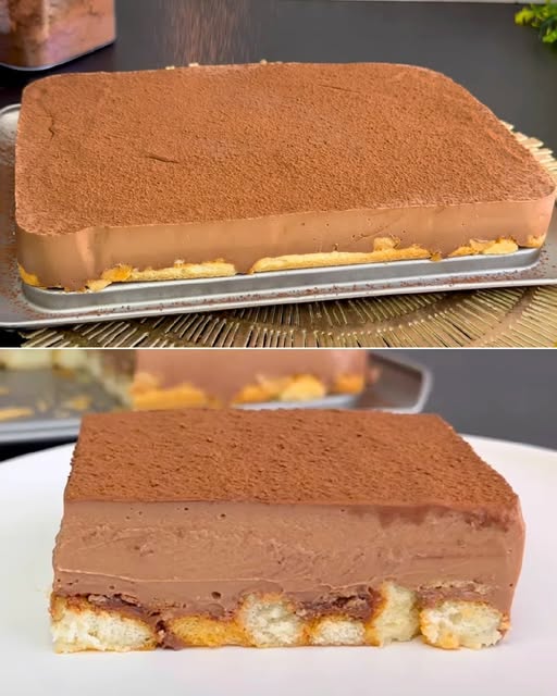 482996365 122180511740279931 2924360635092530505 N