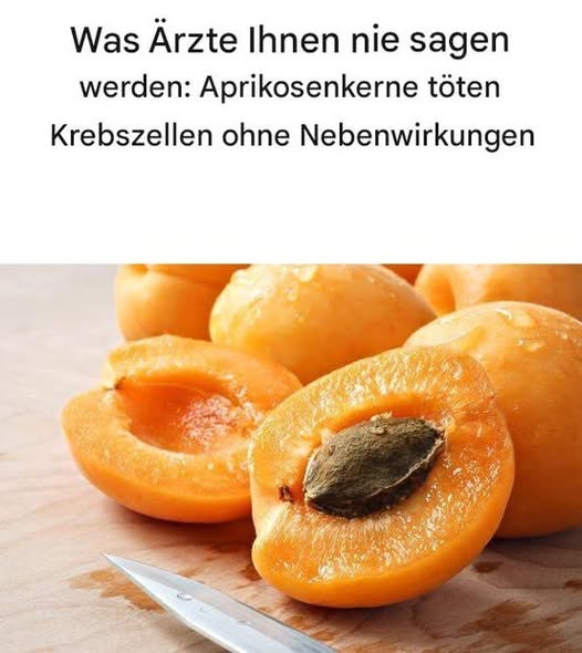 483525584 122181522428279931 3463875900139444493 N