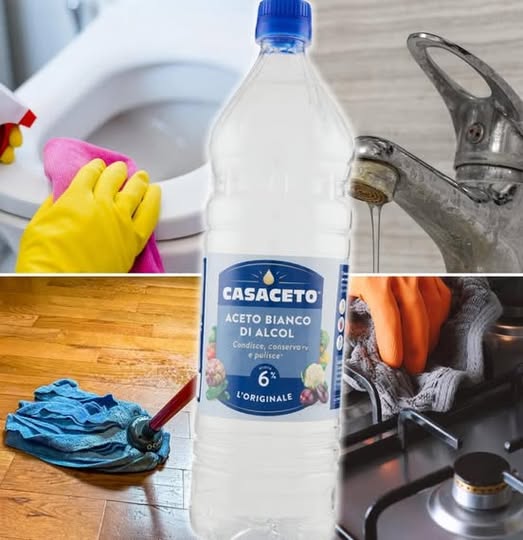 483716716 122181113366279931 247366837958459032 N