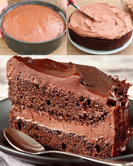 484054650 122181783944279931 1763343485917800190 N