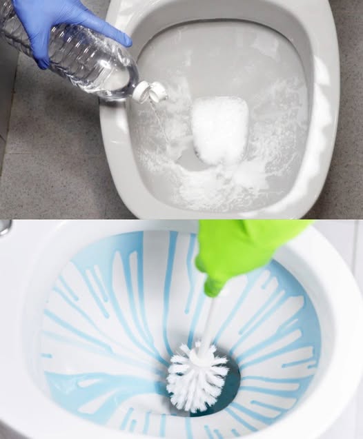 484104300 122181099200279931 1620758027189374148 N