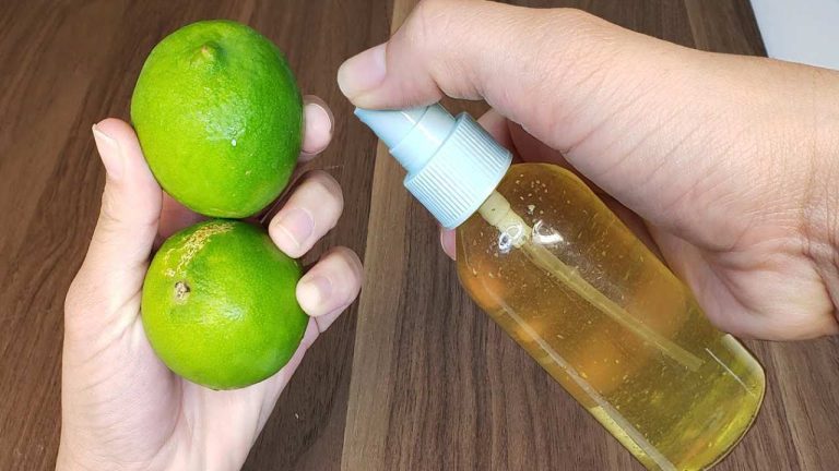 484928997 122182826258279931 7855692951457857413 N (1)