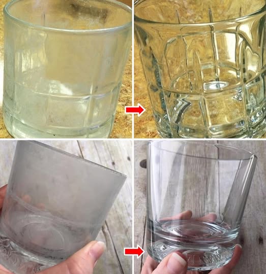 485138857 122182944902279931 6848146820423086014 N