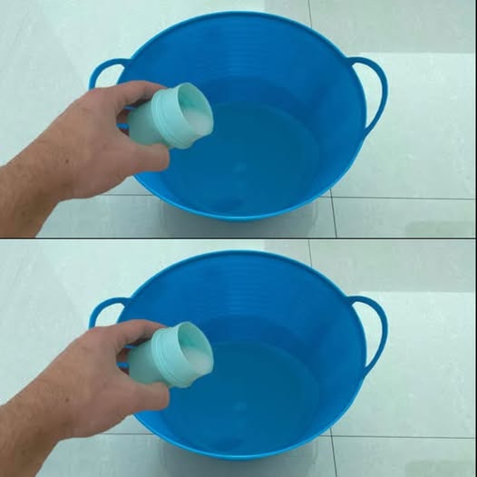 485178624 122182961330279931 6189603565203924166 N