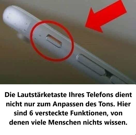 486053211 122183817470279931 1193339455168975105 N