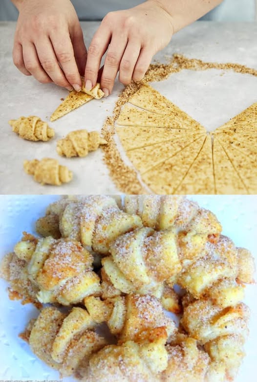 486641850 122184326180279931 9042652052775762124 N