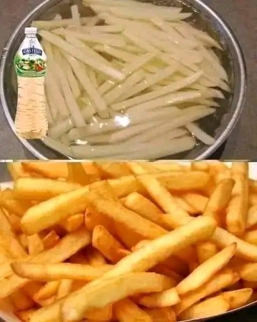 486963934 683196941332278 7807884941556593613 N
