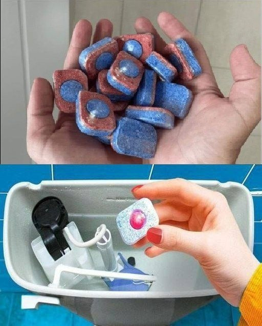 487774863 683216844663621 6507696102288889845 N