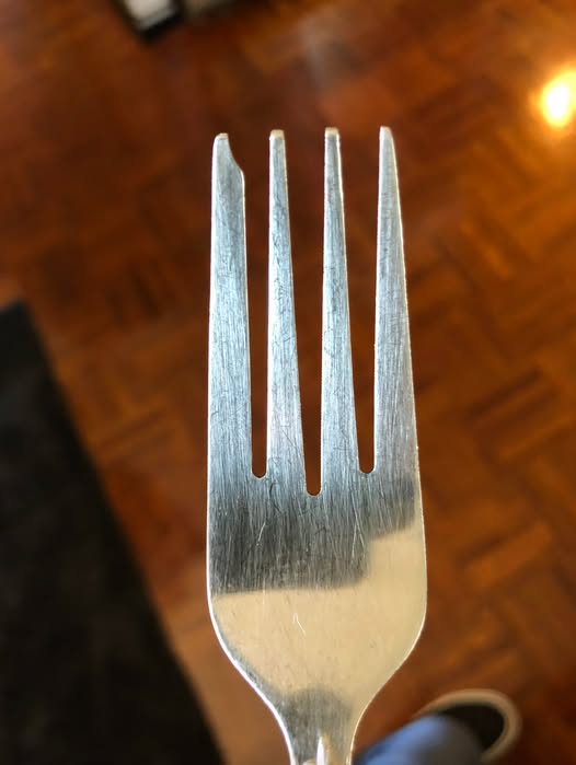 484271453 672399842411988 7406957537966280524 N