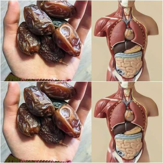 484351390 672162119102427 3740114782886434423 N