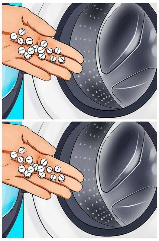 484516209 672086545776651 5437616930345330454 N