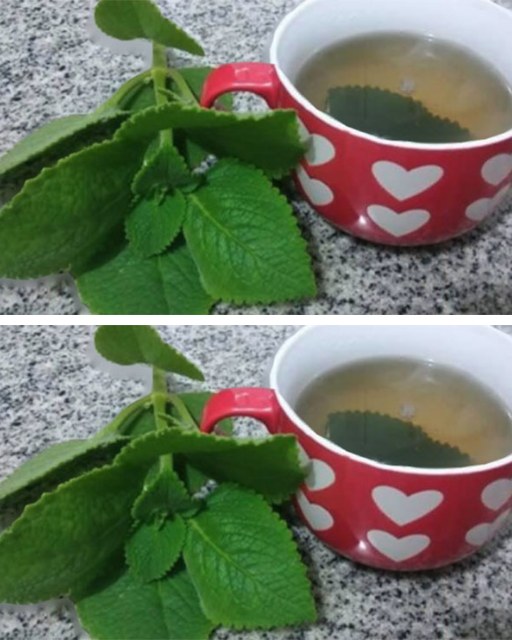 484798439 673854832266489 2601445085816267297 N