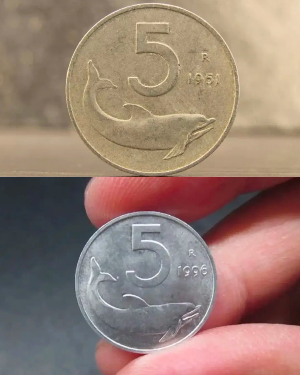 485158264 674080142243958 5545599247876775928 N