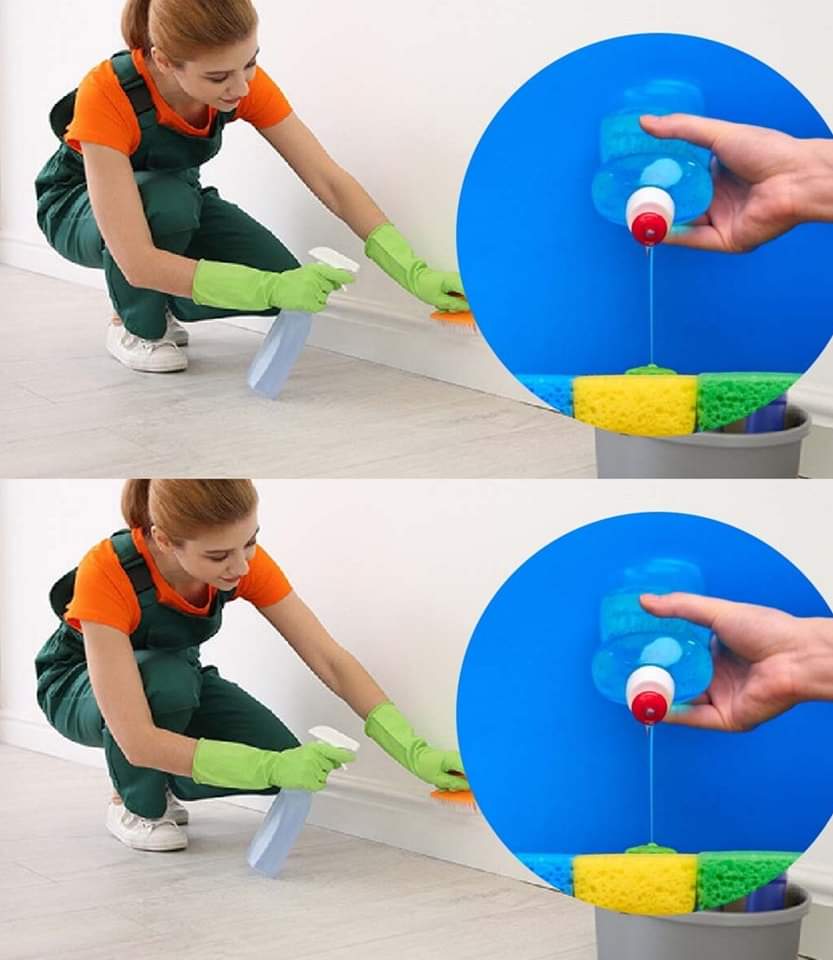 485656885 674627752189197 7088716848841564232 N