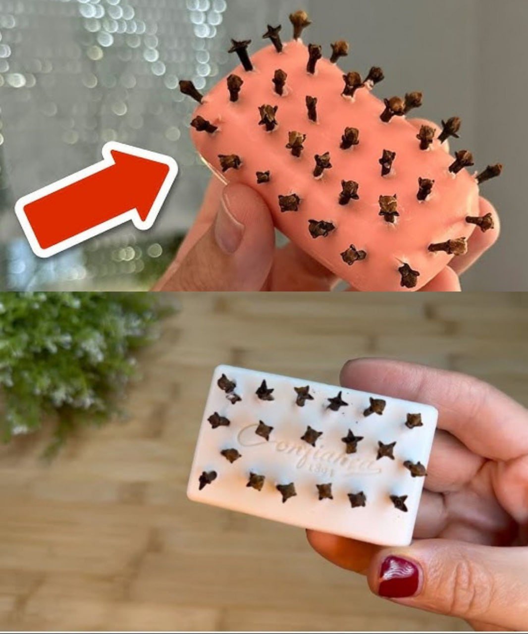 485818232 675930845392221 1435172520074822829 N