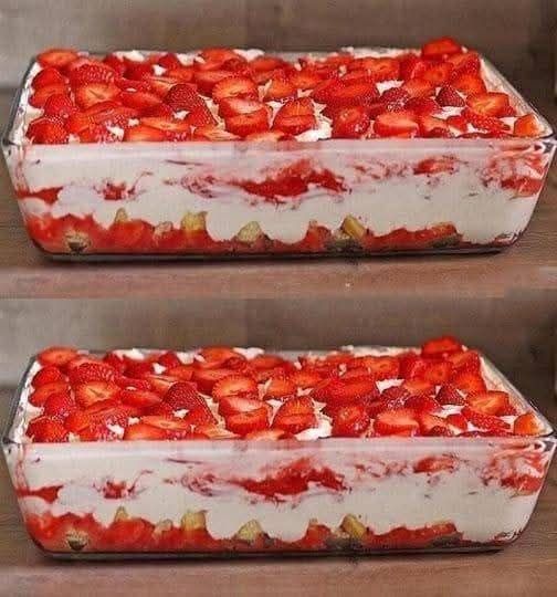 486239355 677873955197910 3780527214053396536 N