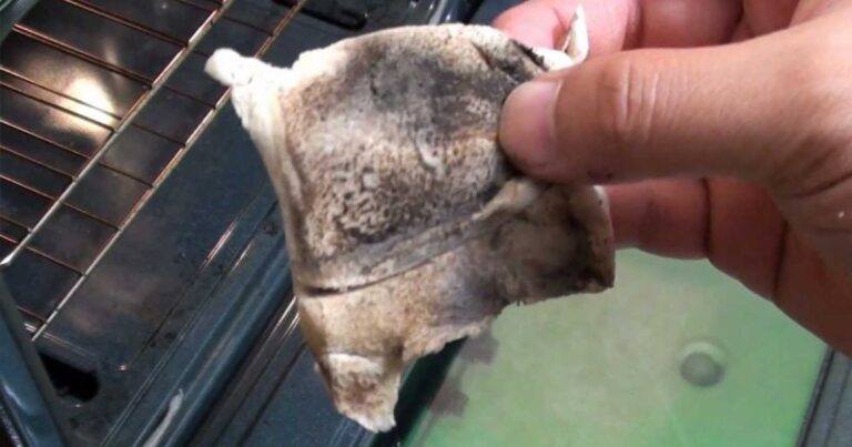 486448157 685484367770202 3181361905451018154 N