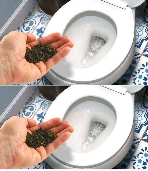 486989326 683189291333043 4443435142235904128 N