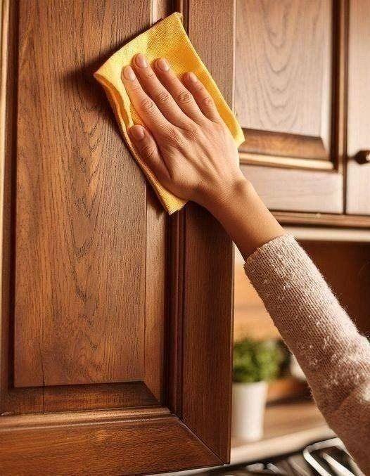 487079915 684858007832838 8145538016798522227 N