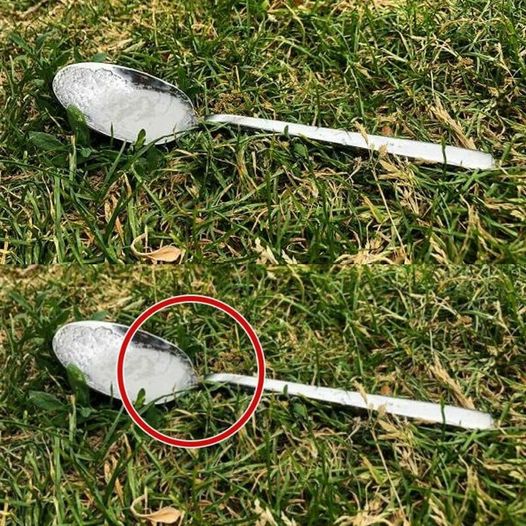 487121560 684718681180104 7856994102380678164 N