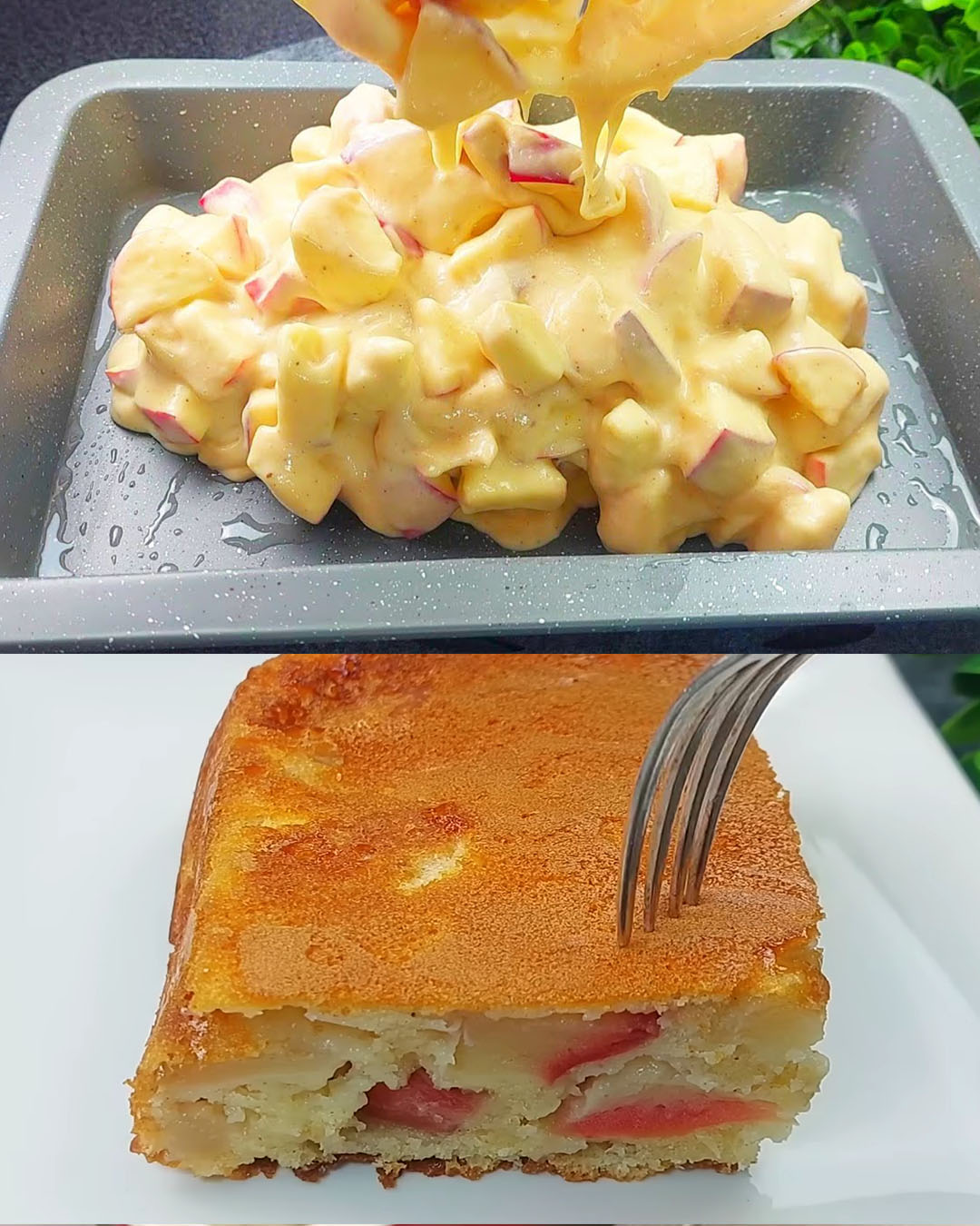 487146978 683071281344844 6356904511173873509 N