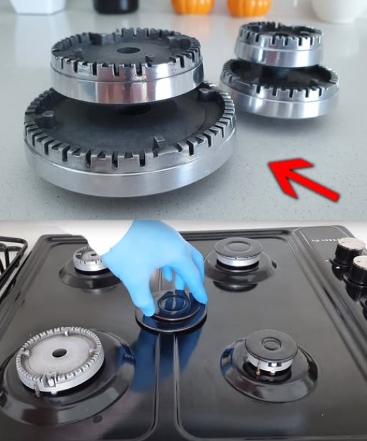 487201463 684709364514369 6643916611565956991 N