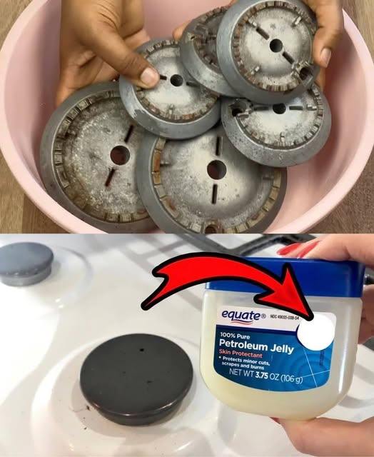 487203511 684710121180960 6219554707617741775 N