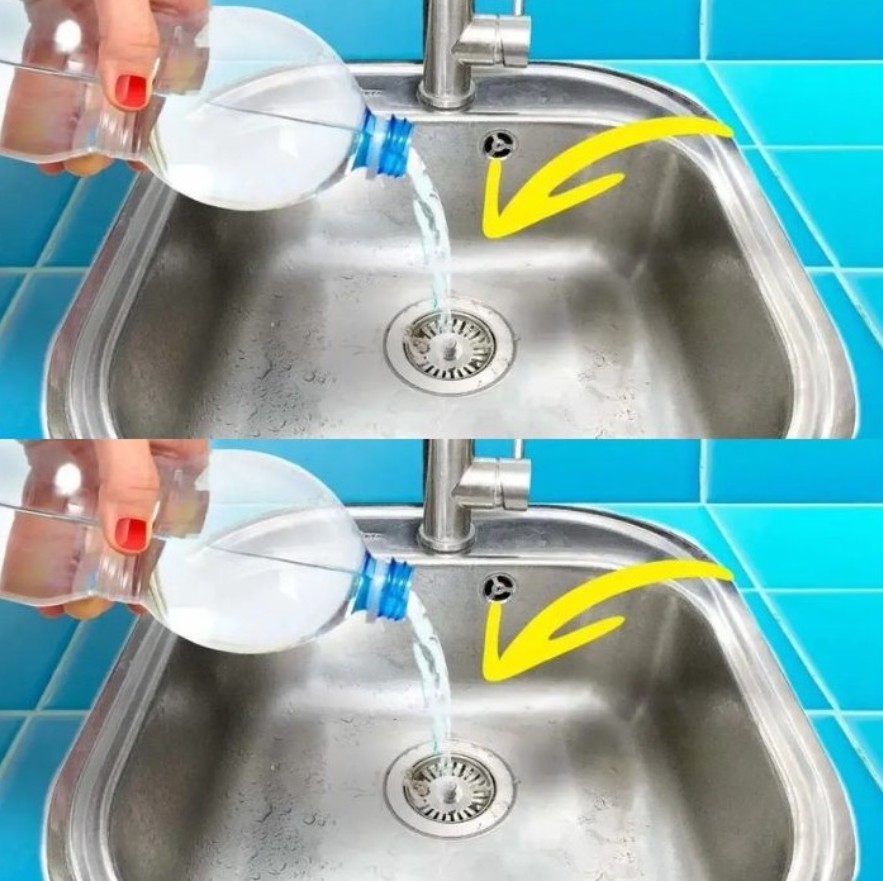 487204457 684718714513434 9065484028453706127 N