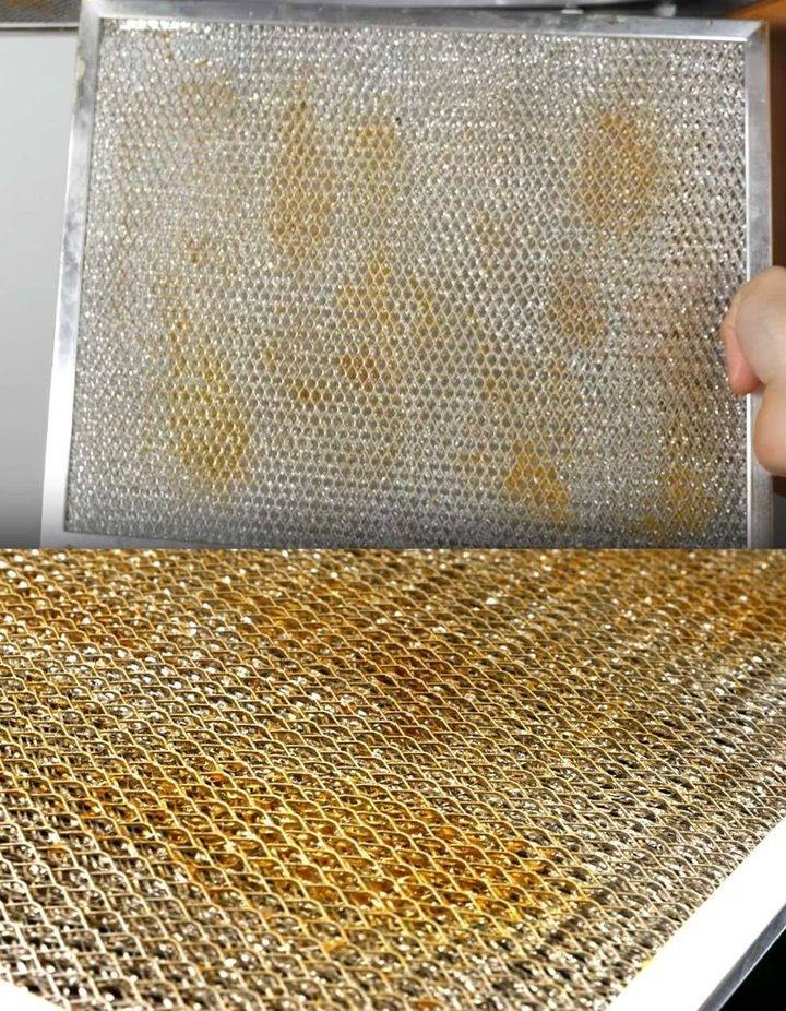 487205581 684718751180097 5184454662939036545 N