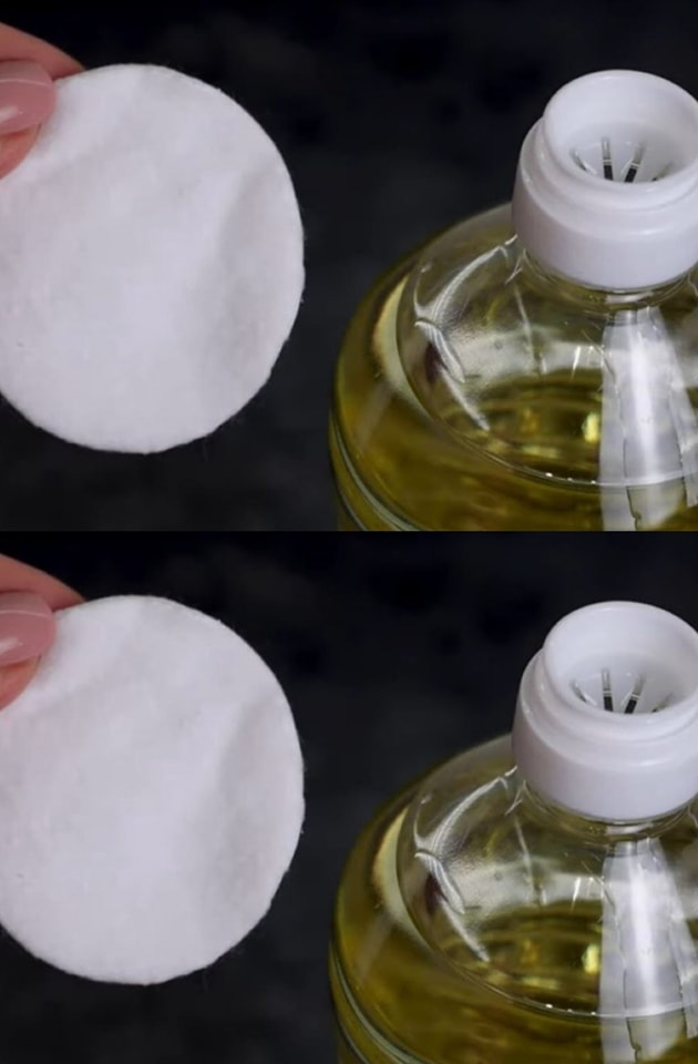 487215189 684720431179929 3544975638075997844 N