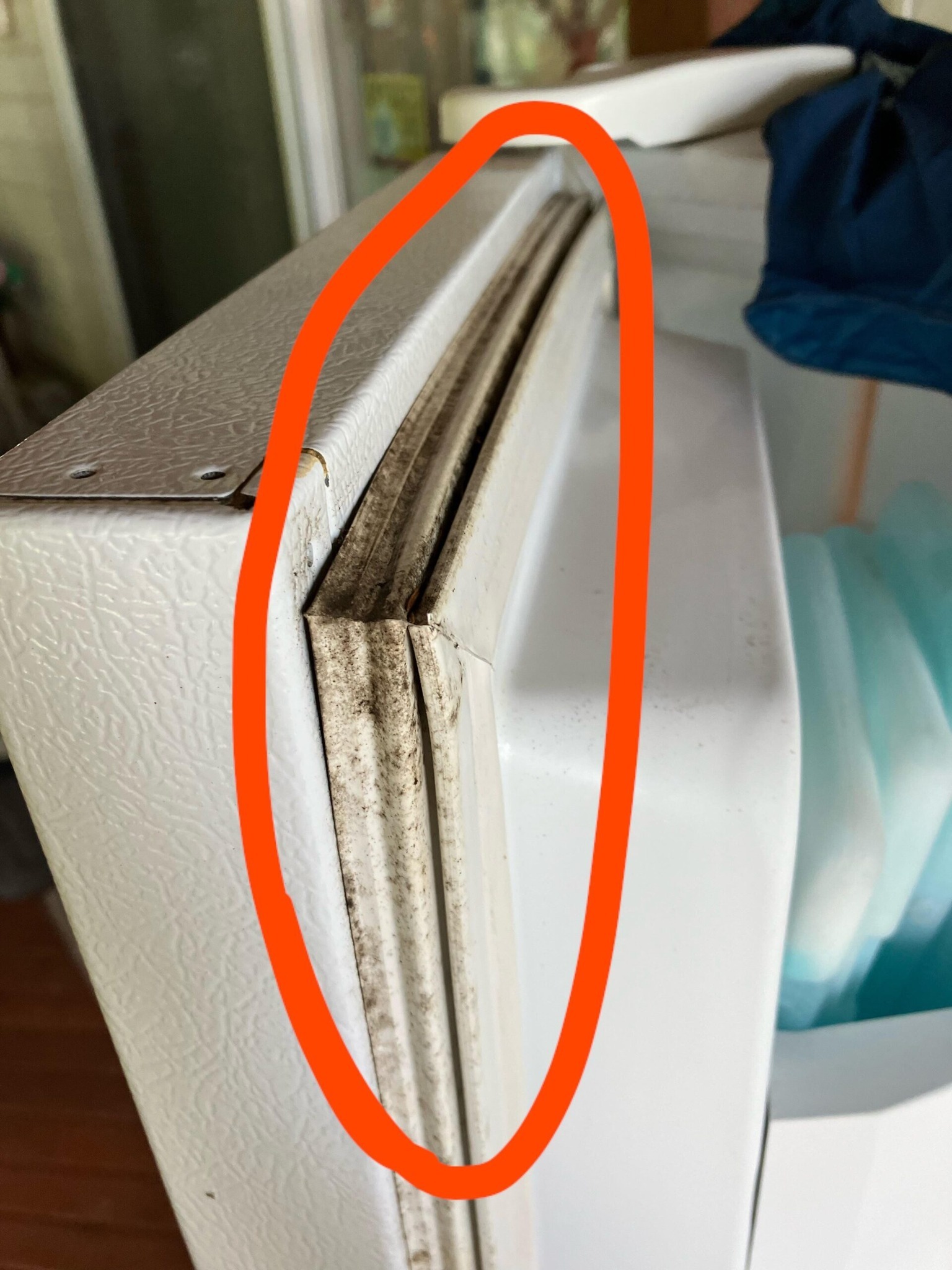 487220837 684872227831416 294685192439115436 N