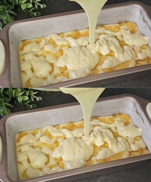 487240490 684872274498078 8600082605199659169 N