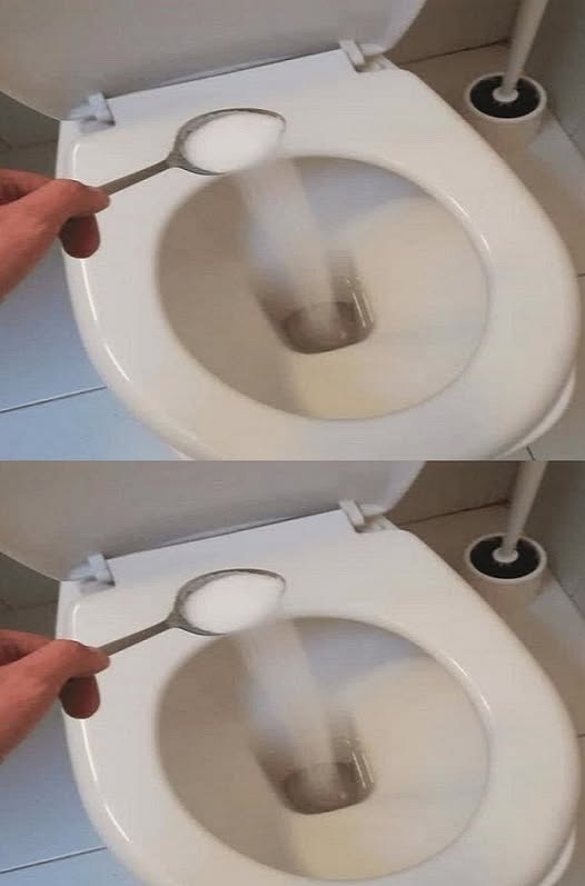 487297874 684865097832129 3942748034348883911 N