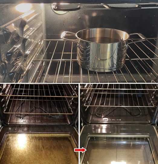 487299683 684862974499008 8489217338733443720 N