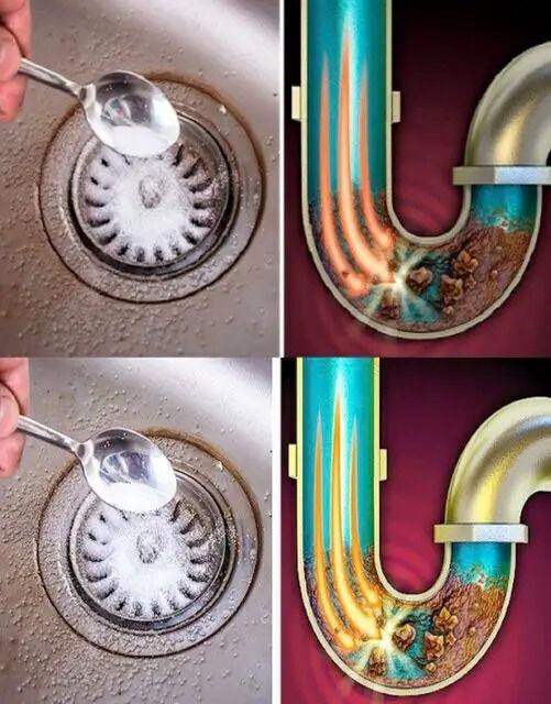 487301269 684875034497802 1333558893265580488 N