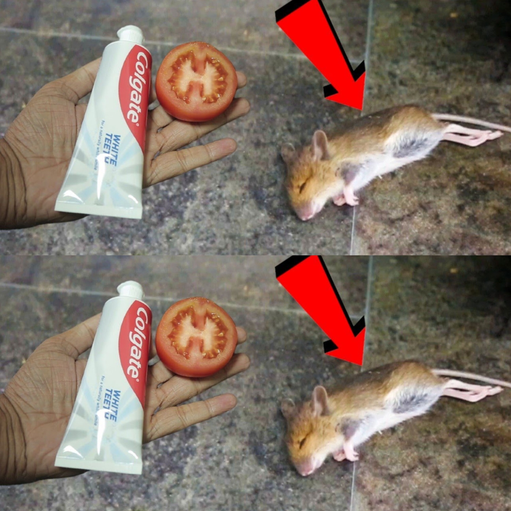 487304103 684869217831717 1216229783878307715 N