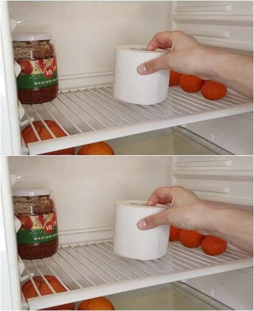 487312891 684858754499430 7380574523019675423 N