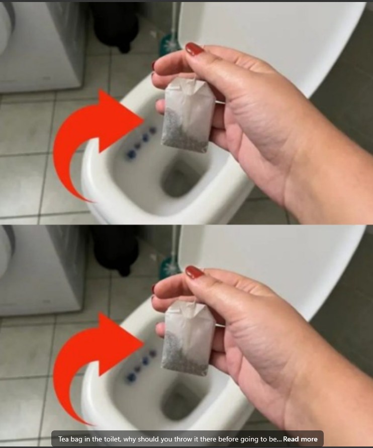 487314662 684862147832424 4841968303645366695 N