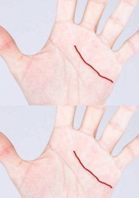 487315673 684864004498905 3466689763853597281 N