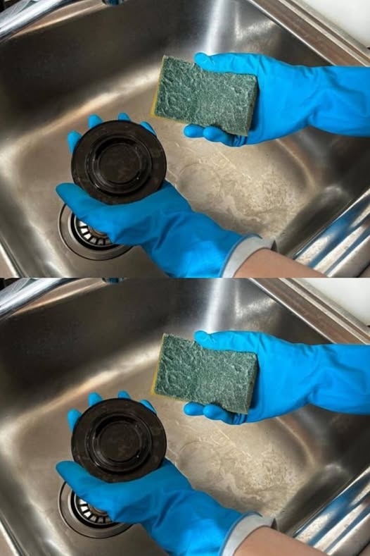 487317232 684861041165868 6455135432938681855 N