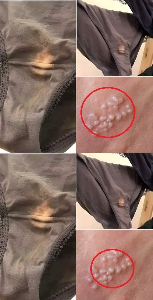 487326762 685664484418857 6259406666894668893 N