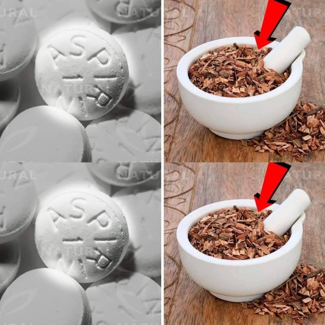 487367530 685520084433297 672417675531097074 N