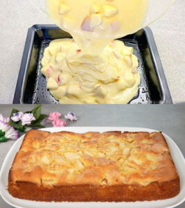 487375596 122186937644279931 2993458498367739959 N