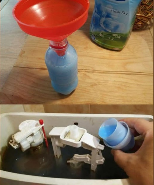 487405945 684718687846770 5012776649442667271 N