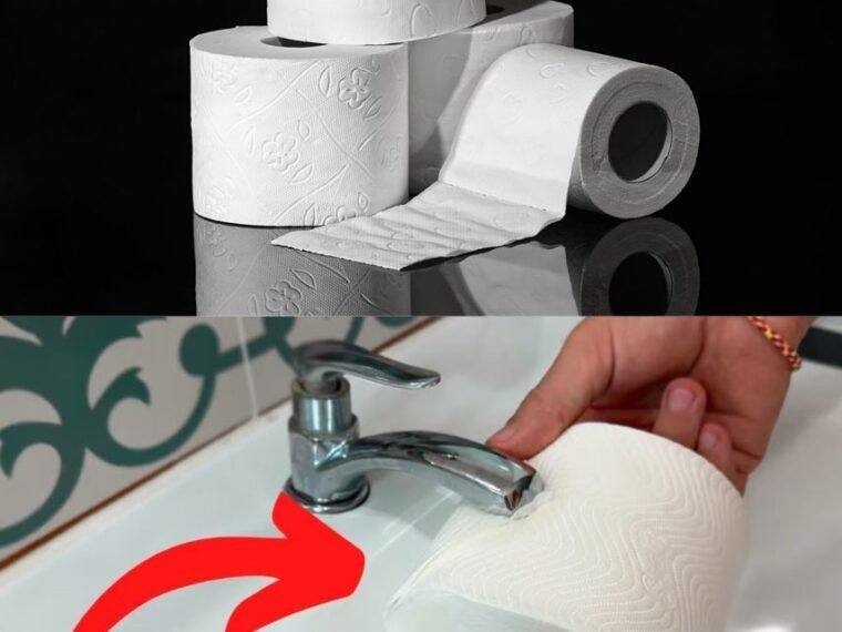 487428597 684875761164396 2690289192168441430 N