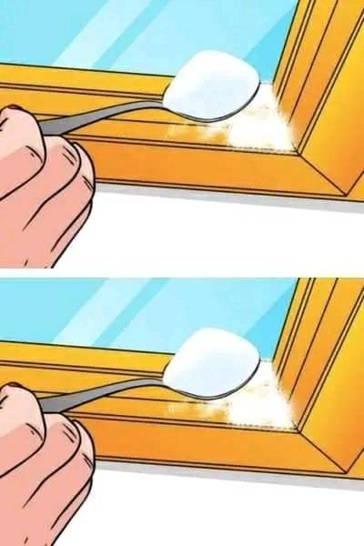 487453121 685515787767060 142082374999717868 N