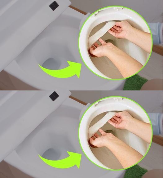 487544535 684718547846784 733131900720968831 N